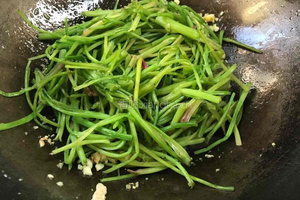 菠菜梗炒肉的做法图解9