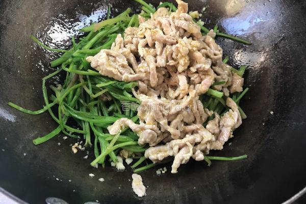菠菜梗炒肉的做法图解10