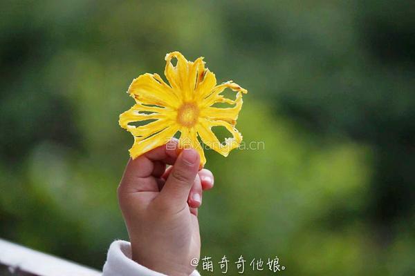 菠萝花菠萝果干的做法图解1