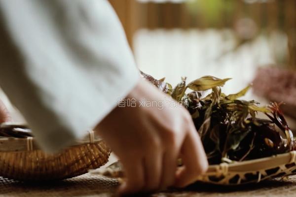 香椿鱼儿‖ 谷雨落时 一口香椿一口茶的做法图解1