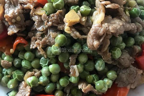 豌豆炒牛肉的做法图解9