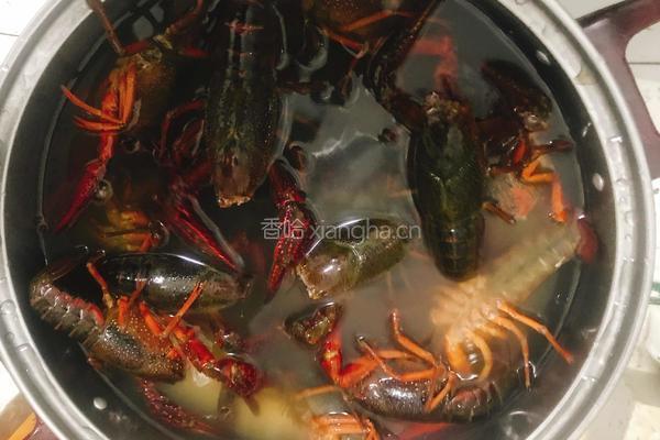 咖喱小龙虾的做法图解2