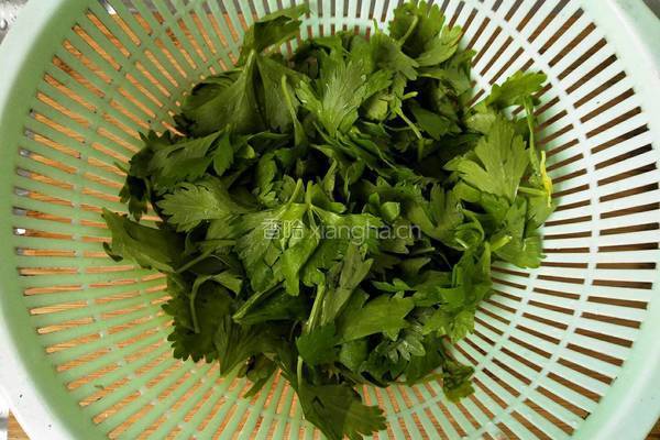 凉拌芹菜叶的做法图解1