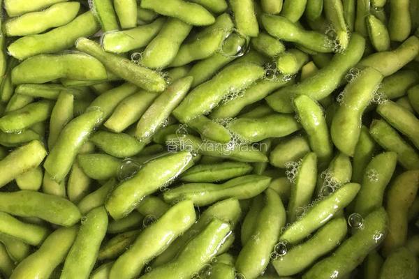 辣翻天的毛豆豆的做法图解2