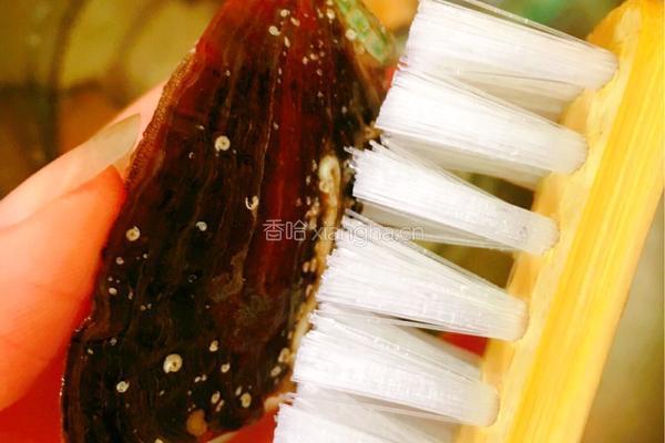 鲍鱼西洋参排骨汤的做法图解2