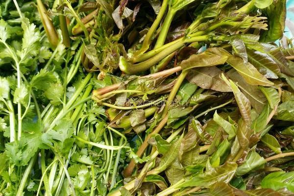 香椿芽拌豆腐的做法图解1