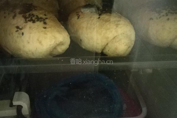 自制全麦面包的做法图解12
