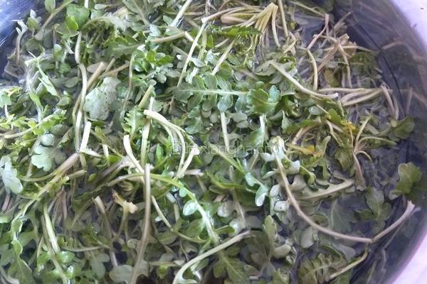 荠菜猪肉馄饨的做法图解1
