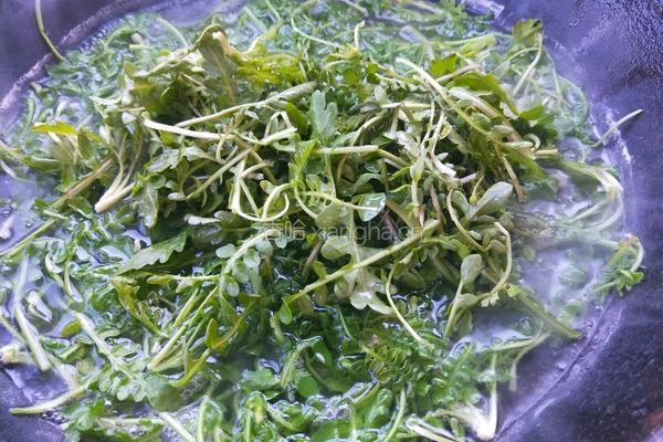 荠菜猪肉馄饨的做法图解4