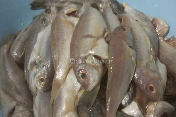 豆豉鱼的做法图解1