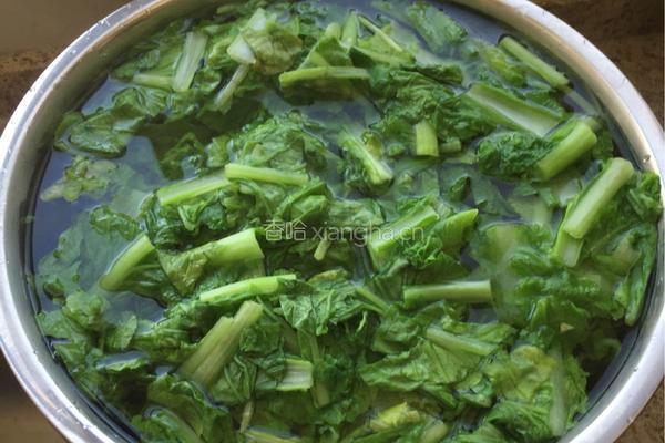 腌猪肉烩小白菜的做法图解3