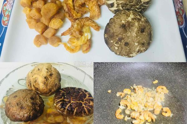 鱼翅煨鸡的做法图解4