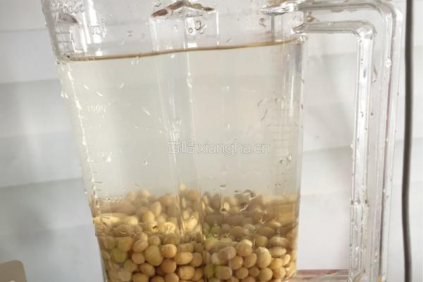 破壁机版豆浆的做法图解2