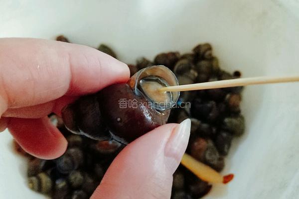 田螺盏的做法图解9