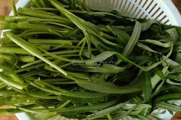 腐乳空心菜的做法图解3
