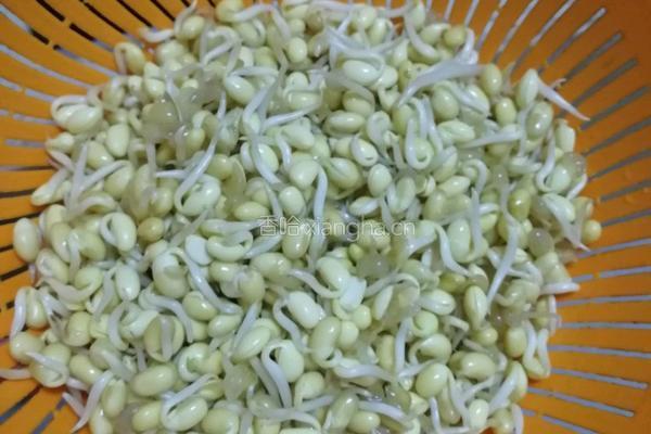 豆芽炒肉丝的做法图解2