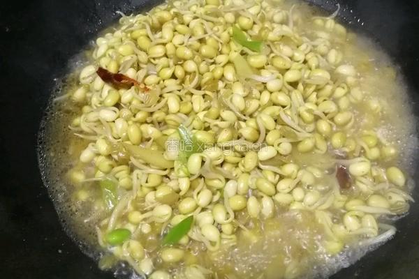 豆芽炒肉丝的做法图解7