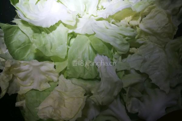 手撕包菜的做法图解6