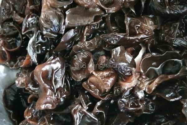 清炒木耳干豆腐的做法图解3