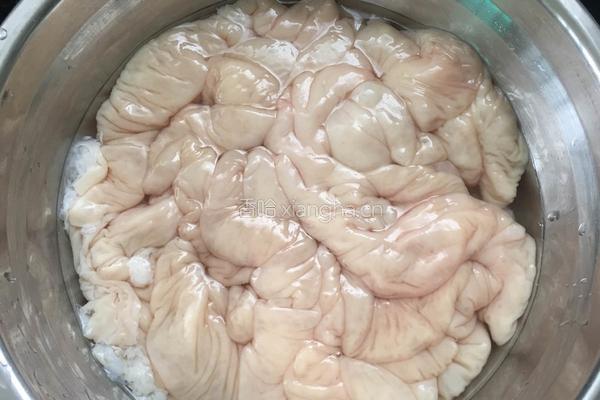 网红菜李子猪大肠的做法图解1