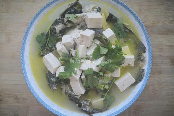 嘎鱼炖豆腐的做法图解8
