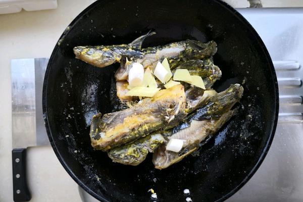 嘎鱼炖豆腐的做法图解4