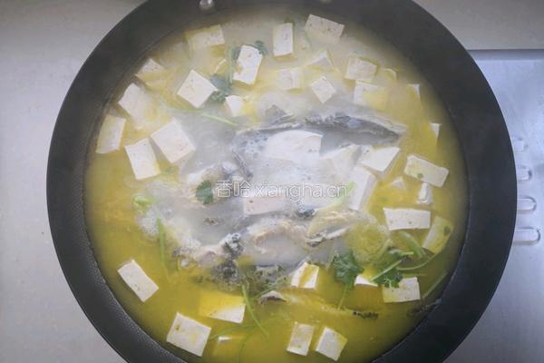 嘎鱼炖豆腐的做法图解7