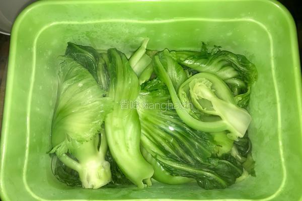 酸菜的做法图解4