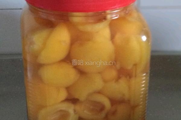 腌制冰糖琵笆
