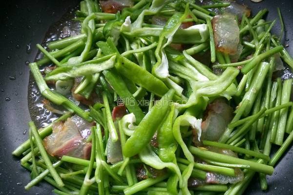 野芹菜炒腊肉的做法图解10