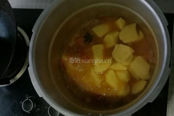 西红柿土豆牛腩汤的做法图解6