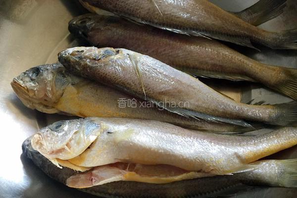 煎黄花鱼的做法图解1