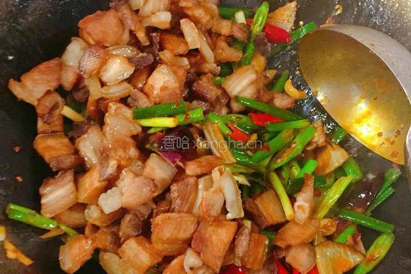 农家小炒肉的做法图解9