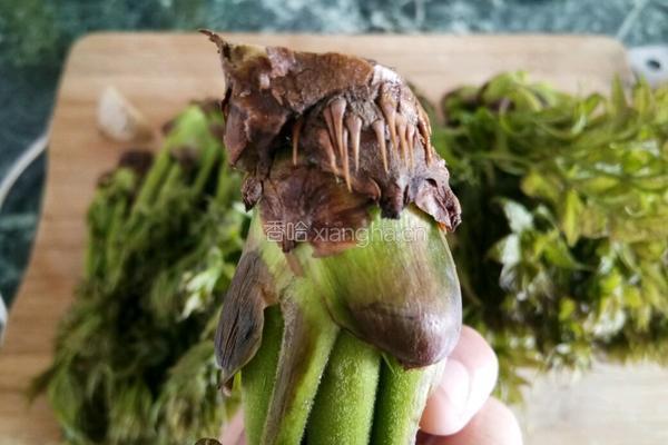 刺老芽炒鸡蛋的做法图解2