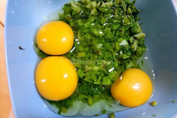 刺老芽炒鸡蛋的做法图解7