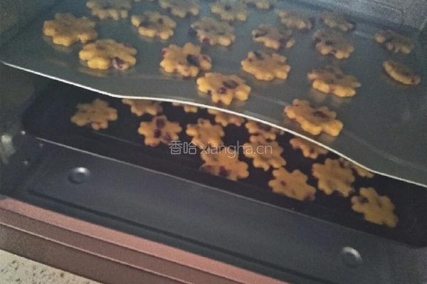 蔓越莓饼干的做法图解8