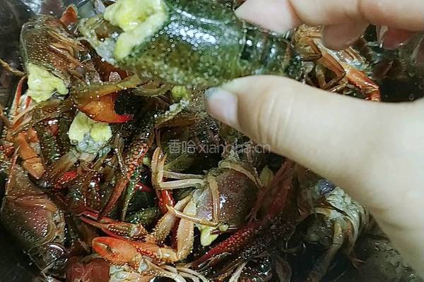 麻辣小龙虾的做法图解4