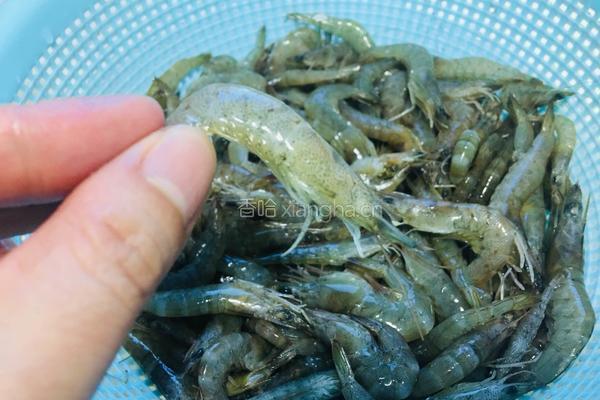 鲜味小海虾焖节瓜的做法图解1