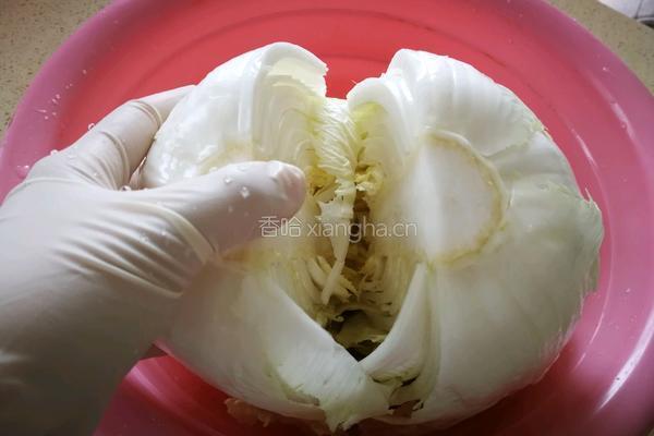 朝鲜族姑娘的地道辣白菜的做法图解2