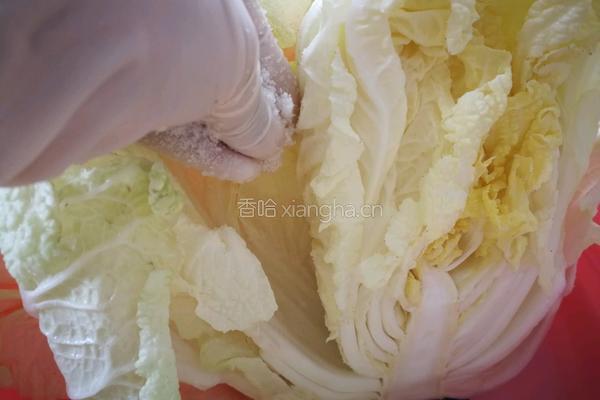 朝鲜族姑娘的地道辣白菜的做法图解4
