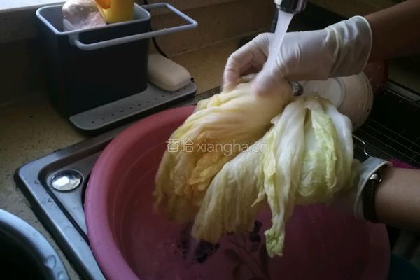 朝鲜族姑娘的地道辣白菜的做法图解13