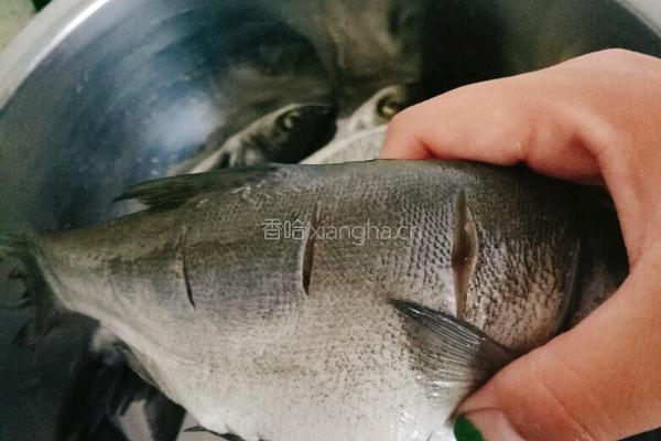 鲢鱼炖豆腐的做法图解2