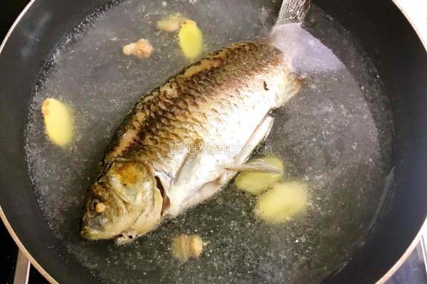 无刺鲫鱼豆腐汤的做法图解7