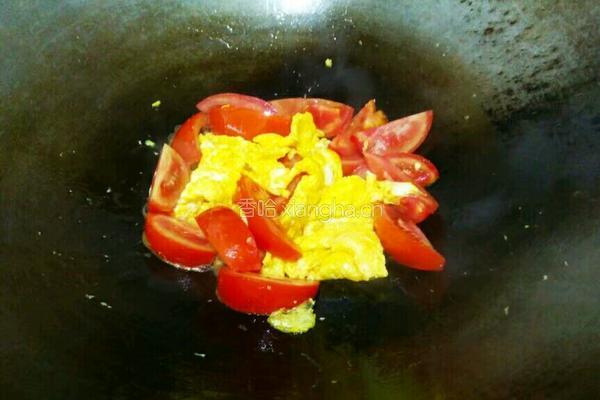 番茄鸡蛋粉丝的做法图解11