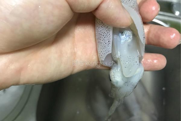 爆炒鱿鱼?的做法图解1