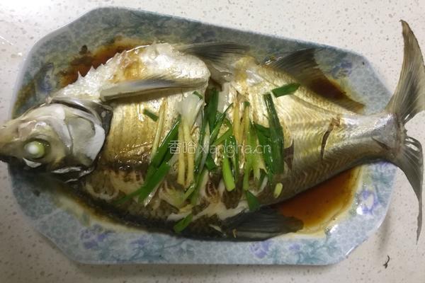 清蒸扁鱼的做法图解6