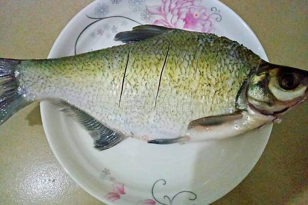 红烧鳊鱼的做法图解1