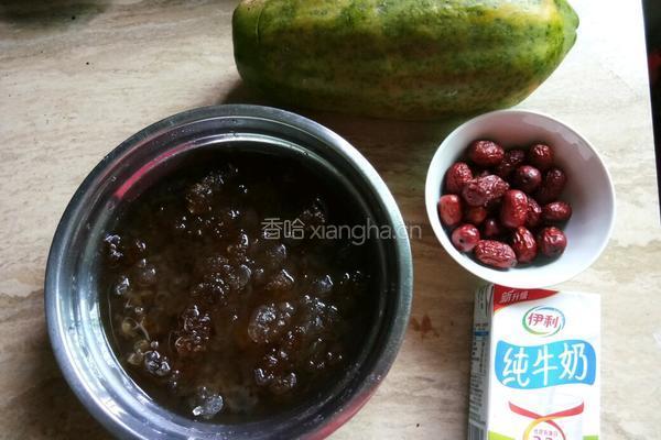 牛奶桃胶炖木瓜的做法图解1