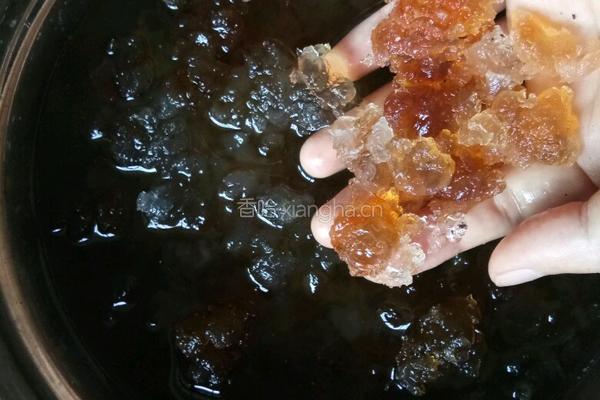 牛奶桃胶炖木瓜的做法图解3