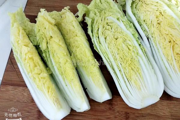 耗油娃娃菜的做法图解4